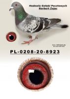 PL-0208-20-8923