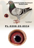 PL-0208-20-8934