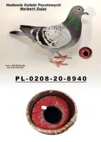 PL-0208-20-8940