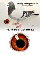 PL-0208-20-8942