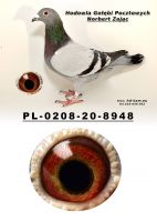 PL-0208-20-8948