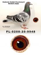 PL-0208-20-9915
