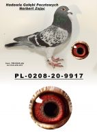 PL-0208-20-9917