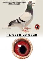 PL-0208-20-9930