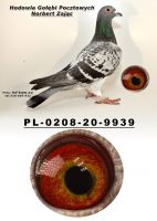 PL-0208-20-9939