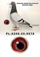 PL-0208-20-9978