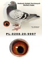 PL-0208-20-9997