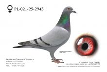 PL-021-25-2943: Team Frydziu-Mateusz, 69. Lotnik, m in 50m z FINAŁU