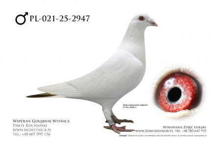 PL-021-25-2947: Team Frydziu, 36. Lotnik, m in 8m z FINAŁU