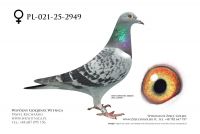 PL-021-25-2949: Team Frydziu, 14. Lotnik, m in 35m, 28m z FINAŁU