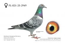 PL-021-25-2949: Team Frydziu, 14. Lotnik, m in 35m, 28m z FINAŁU