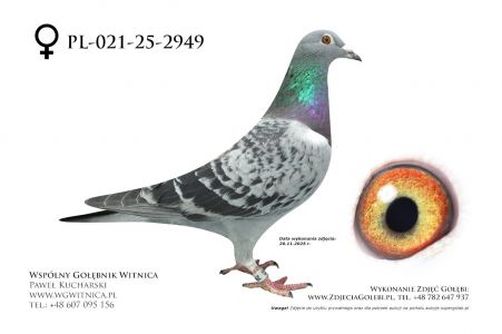 PL-021-25-2949: Team Frydziu, 14. Lotnik, m in 35m, 28m z FINAŁU