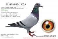 PL-0210-17-13075
