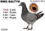 PL-0210-23-14412: Roman, 2. Lotnik, m in 76m, 1m, 19m, 2m z FINAŁU Gołąb z hodowli: Roman. 2 Lotnik