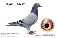 PL-0211-17-16302