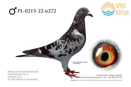 PL-0215-22-6272: Mazur Krzysztof, m.in. 27m. z FINAŁU