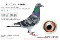 PL-0216-17-5051