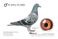 PL-0216-25-5685: Centrum Hod Europa