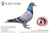 PL-0217-13-4051 - samiczka