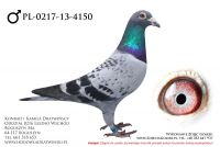 PL-0217-13-4150 - samczyk