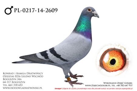 PL-0217-14-2609 - samczyk