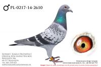 PL-0217-14-2610 - samczyk