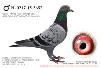 PL-0217-15-5652