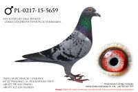 PL-0217-15-5659