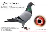 PL-0217-15-5997
