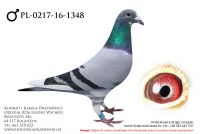 PL-0217-16-1348 - samczyk