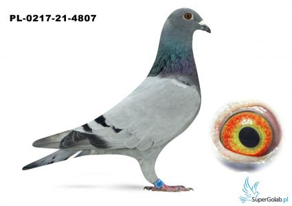 PL-0217-21-4807 Jaskulski Roman