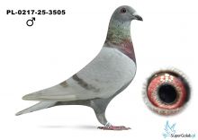 PL-0217-25-3505 Schulz&Szulc