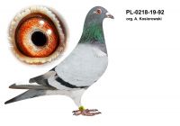PL-0218-19-92 org. Adam Kosiorowski