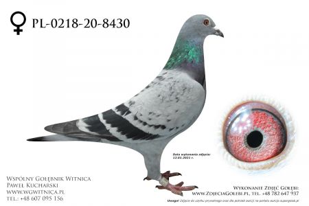 PL-0218-20-8430 - Wijata Dariusz