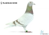 PL-0218-23-10159