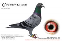 PL-0219-12-16645