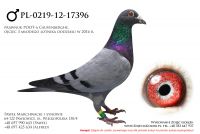 PL-0219-12-17396