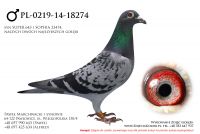 PL-0219-14-18274