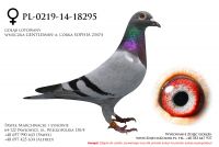 PL-0219-14-18295