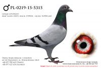 PL-0219-15-5315