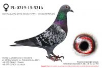 PL-0219-15-5316