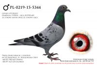 PL-0219-15-5344