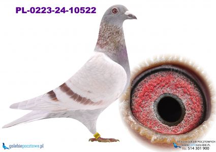 PL-0223-24-10522_