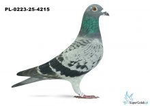 PL-0223-25-4215 22. OKRĘG ŁÓDŹ 