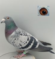 PL-0226-18-867 3 Lotniczka Oddziału Linia Generała 1726