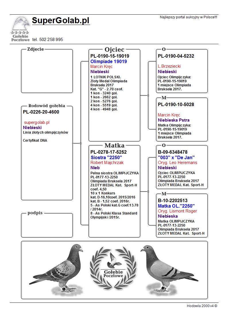 Pl 0226 20 4600 Olimpijczyk 19019 X Siostra Olimpijczyka 2250 M Kobiela Cert Dna Profesjonalny Portal Aukcyjny Golebi Pocztowych Golebie Od Mistrzow Polski Golebie Olimpijskie Najlepsze Hodowle Z Belgii Niemiec Holandii