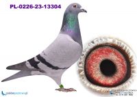 PL-0226-23-13304 R.D. Faber x Figo