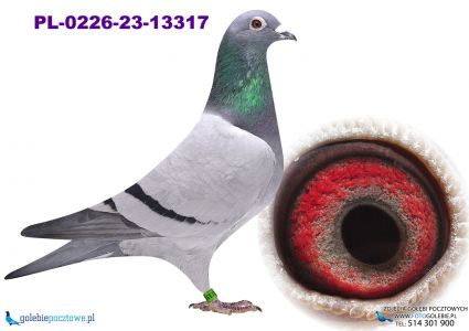 PL-0226-23-13317 wnuczka Olimpijki 