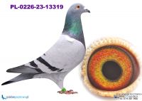 PL-0226-23-13319 wnuczka Georgio