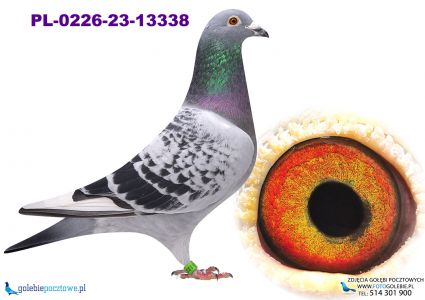 PL-0226-23-13338 linia 4 olimpijczyków!!